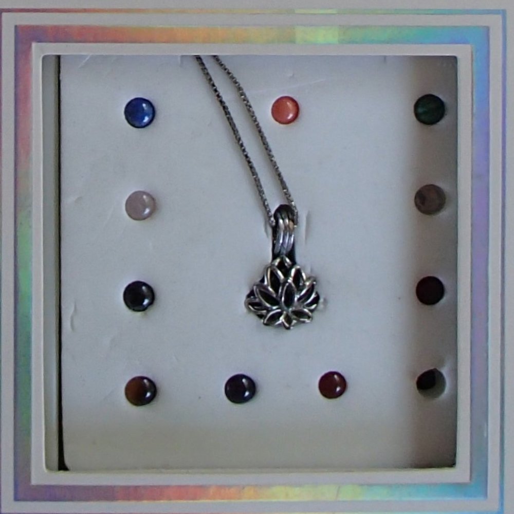 The Giving Gems Lucoral Museum Hawaii Sterling Silver Cage, Chain & 12 Gemstones - Picture 2 of 16